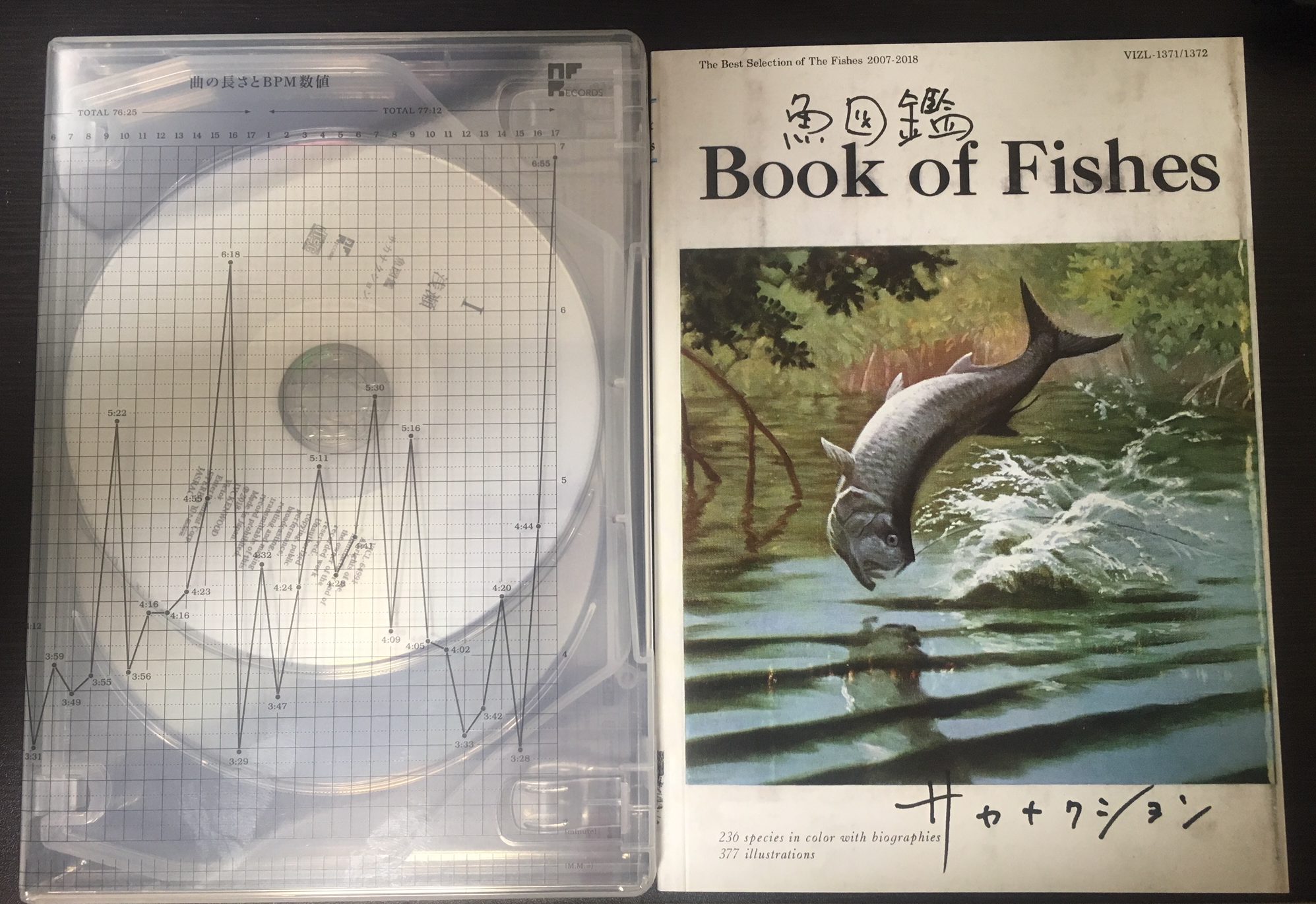 サカナクションのベスト盤 魚図鑑 ブックレットが面白い 川越市 関田和弘税理士事務所 相続税申告 クラウド会計